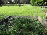 image of grave number 905970